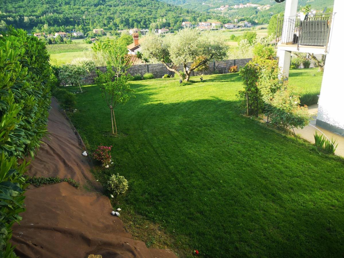 New Istrian Experience By Istrian Apartments كوبر المظهر الخارجي الصورة