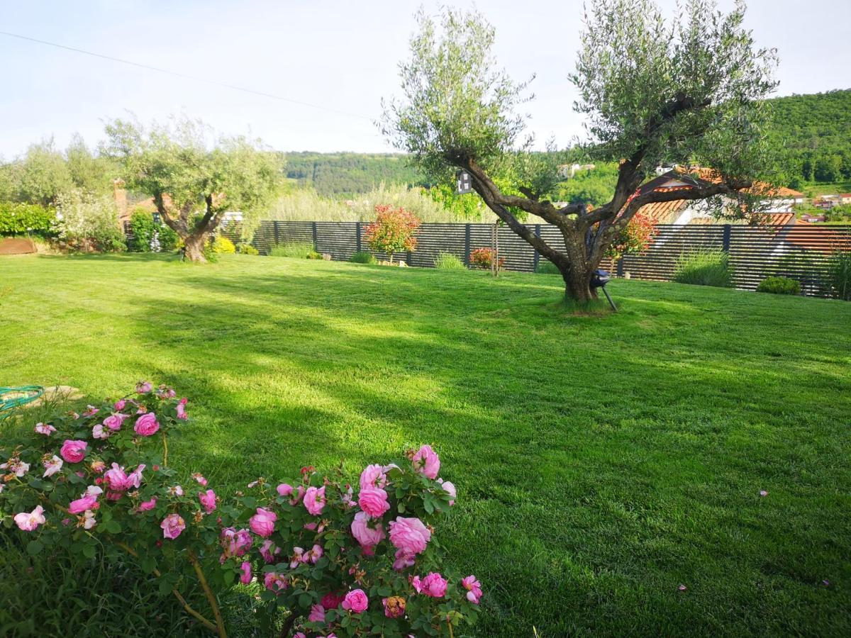 New Istrian Experience By Istrian Apartments كوبر المظهر الخارجي الصورة