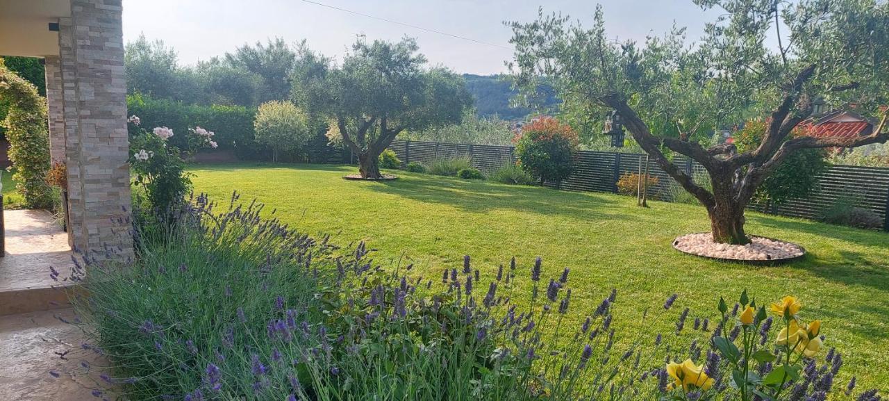 New Istrian Experience By Istrian Apartments كوبر المظهر الخارجي الصورة